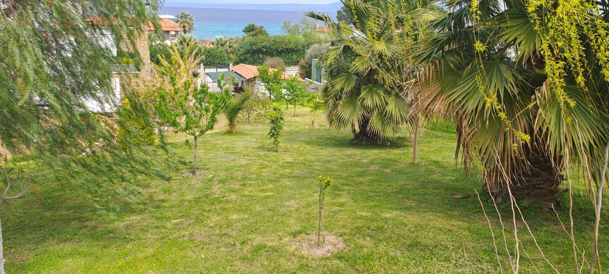 Villa Helga Exotic Pefkochori Bagian luar foto
